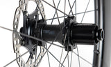 FFWD_TWO-ONE_Rear_edc7f8c6-dc16-422e-964f-b700e0b01bfb_800x.jpg